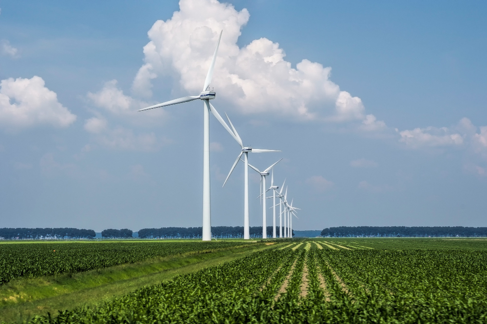 Windturbines die duurzame energie opwekken in Nederland